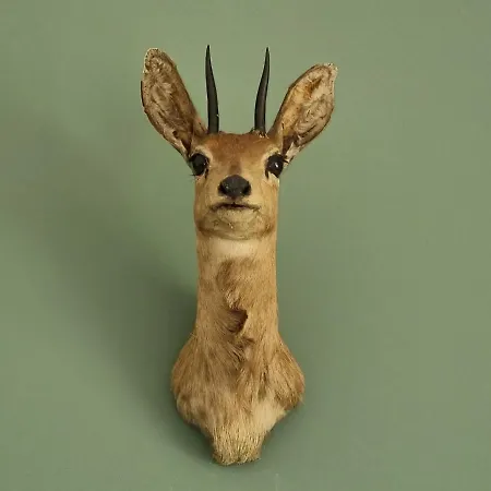 Thuers Im Busch - Upkammer - Ab 3 Naechte - Mit Stil In * Munster (North Rhine-Westphalia)