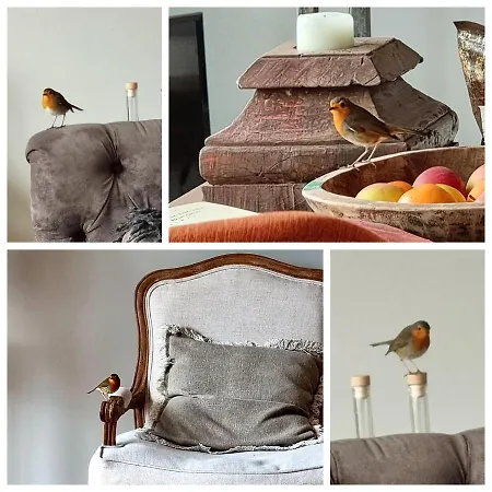 Apartament Thuers Im Busch - Upkammer - Ab 3 Naechte - Mit Stil In Munster (North Rhine-Westphalia)