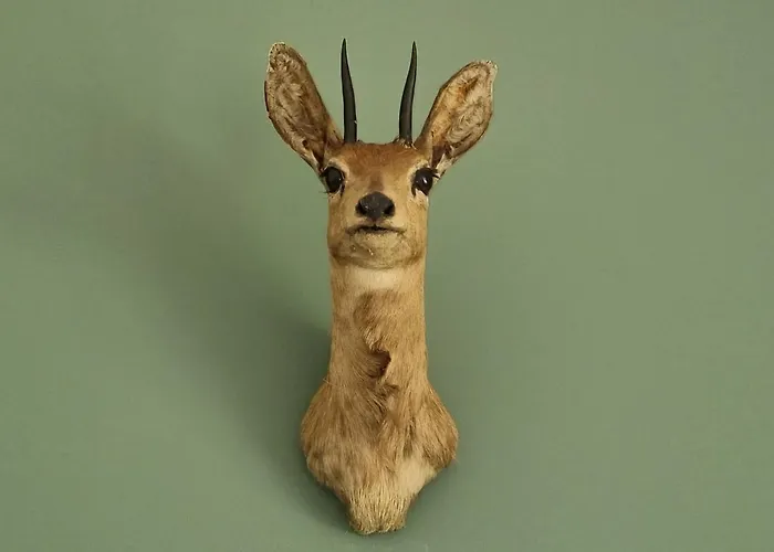 Thuers Im Busch - Upkammer - Ab 3 Naechte - Mit Stil In * مونستر