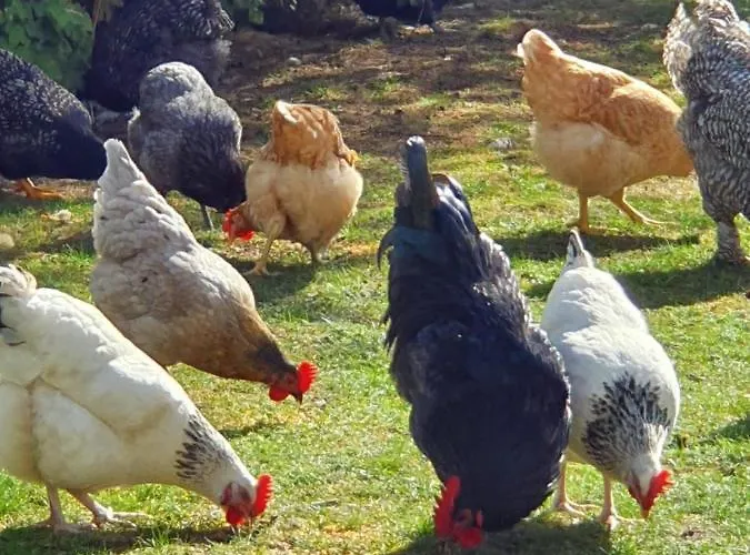 Thuers Im Busch - Upkammer - Ab 3 Naechte - Mit Stil In شقة