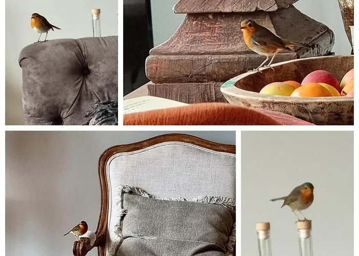 شقة Thuers Im Busch - Upkammer - Ab 3 Naechte - Mit Stil In مونستر